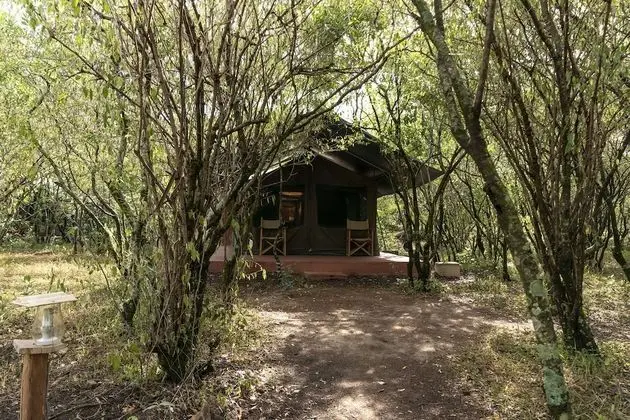 Luxury Çadır