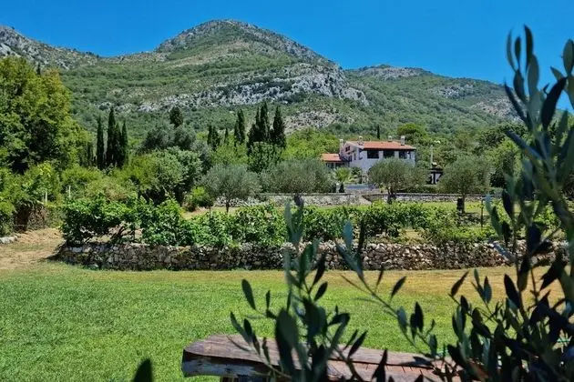 Superior Villa, Kişiye Özel Havuzlu