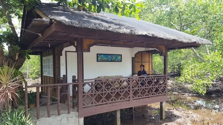 Tek Büyük Yataklı Oda, Balkon