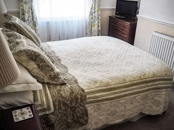 Tek Büyük Yataklı Oda, Banyolu/Duşlu (Room 3)