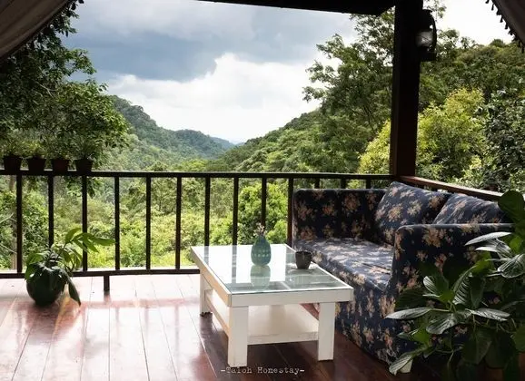 Family Oda, Sigara İçilmez, Tepe Manzaralı