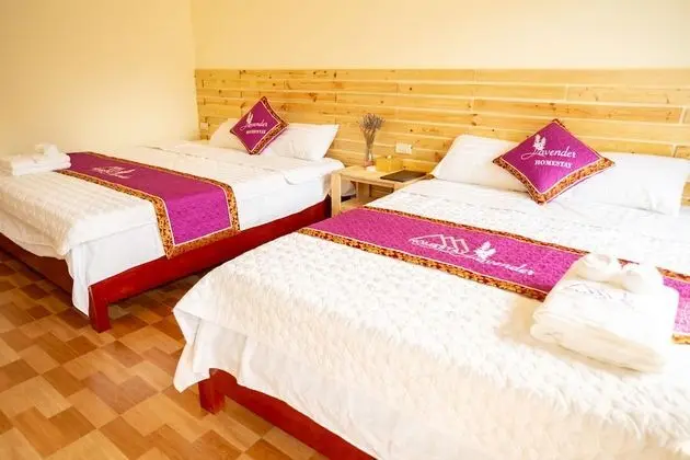 Standard Dört Kişilik Oda