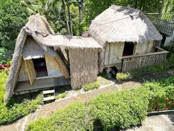 Standard Oda