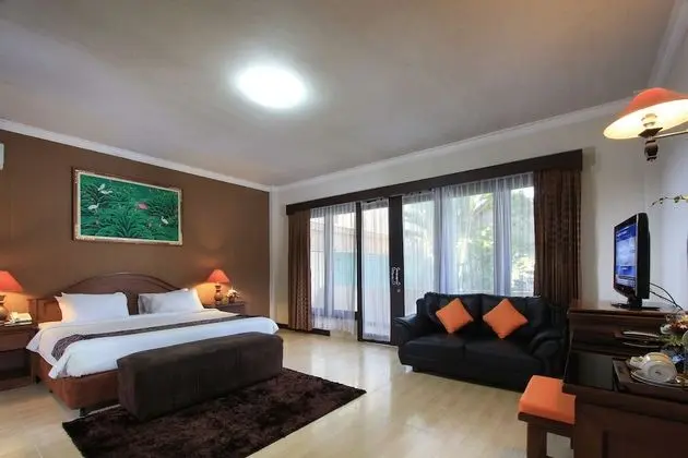 Deluxe Tek Büyük Yataklı Oda (Super Deluxe Room)