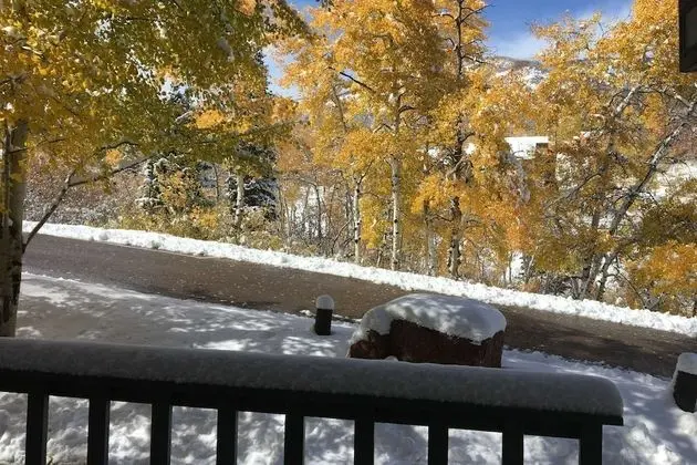 Daire (Tamarack Townhome # 5)