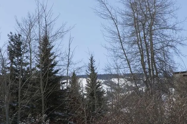 Daire (Tamarack Townhome # 5)