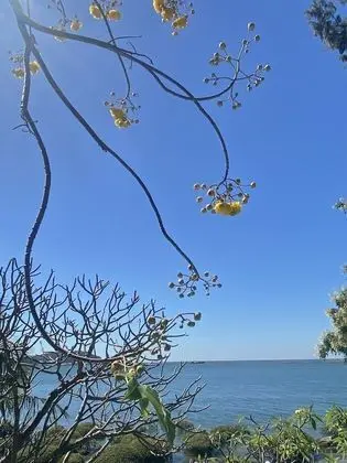 Superior Oda, Deniz Manzaralı