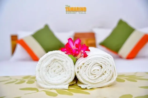 Deluxe Üç Kişilik Oda, 3 Tek Kişilik Yatak, Bahçe Manzaralı
