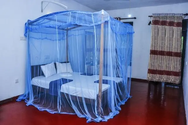 Deluxe Oda, 1 Çift Kişilik Yatak, Sigara İçilebilir