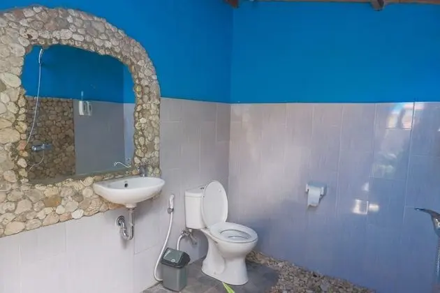 Deluxe Tek Büyük veya İki Ayrı Yataklı Oda