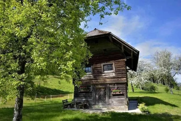 Comfort Kulübe (Hütte zum Badeteich)