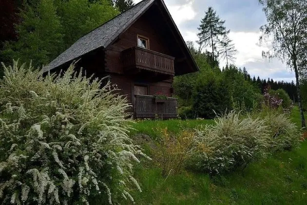 Comfort Kulübe (Hütte zum Badeteich)