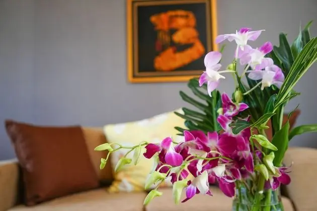 3 bedrooms villa and private pool with  jacuzzi