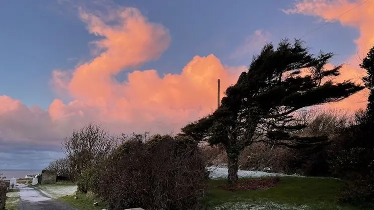 Apart Daire, Banyolu/Duşlu, Bahçe Manzaralı (The Garden Apartment)