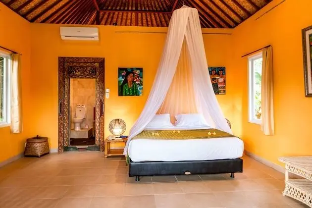 Luxury Villa