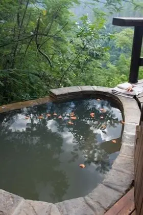 Luxury Dağ Evi, 1 Yatak Odası (Forest View)