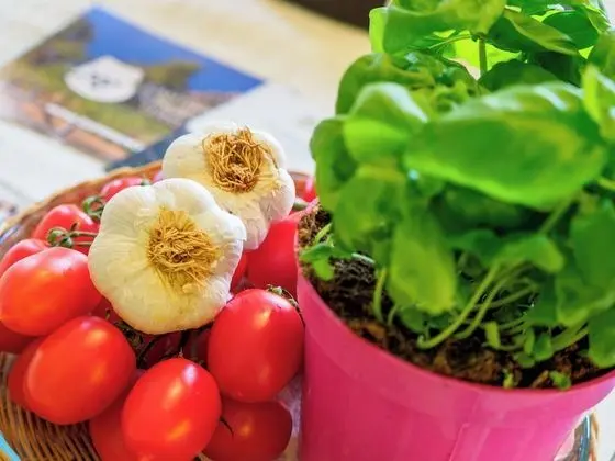 Comfort Villa, 4 Yatak Odası, Deniz Manzaralı