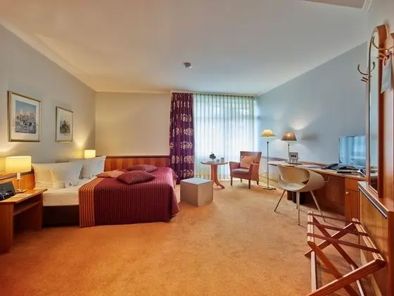 Standard Tek Büyük Yataklı Oda, 1 Çift Kişilik Yatak