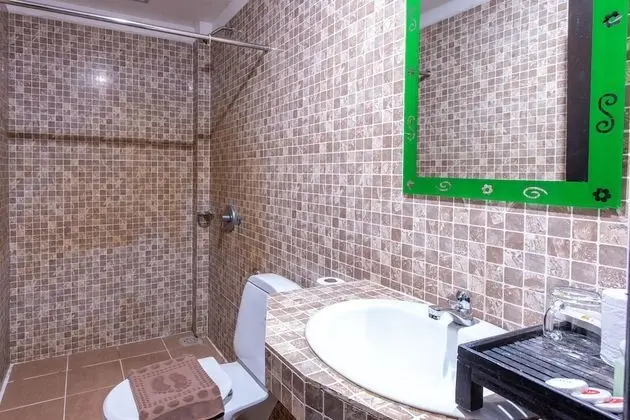Deluxe İki Ayrı Yataklı Oda, 1 Yatak Odası (Free Pick Up)