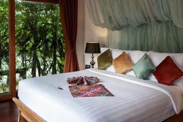Junior Suite with Private Plunge Pool