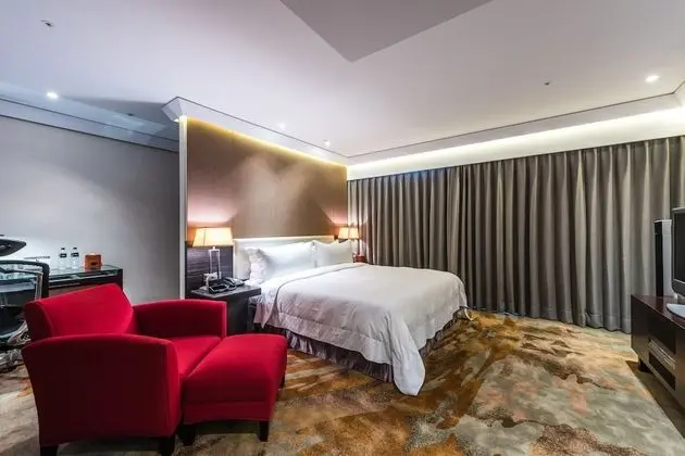 Premium Oda, 1 En Büyük (King) Boy Yatak (Room Only)