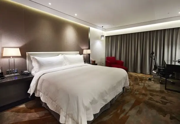 Premium Oda, 1 En Büyük (King) Boy Yatak (Room Only)