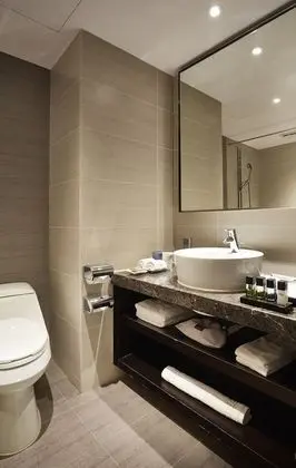 Premium Oda, 1 En Büyük (King) Boy Yatak (Room Only)