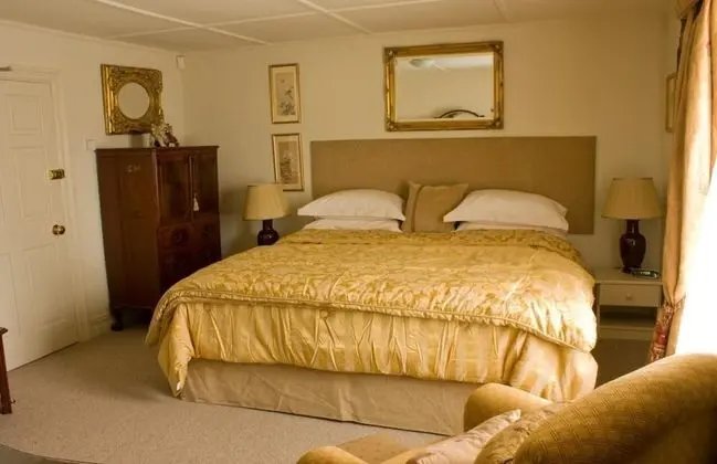 Deluxe Tek Büyük Yataklı Oda, Banyolu/Duşlu (The Gold Room)