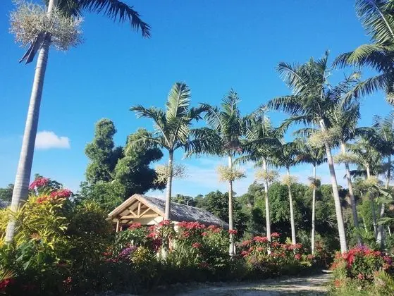Standard Bungalov (Garden Private Bungalow)