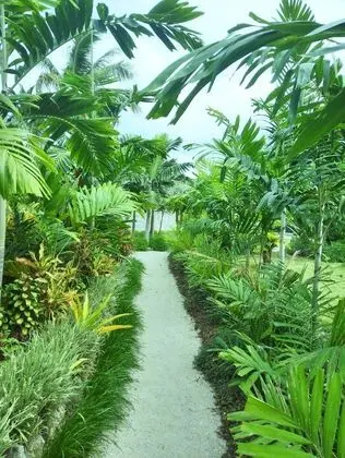 Standard Bungalov (Garden Private Bungalow)