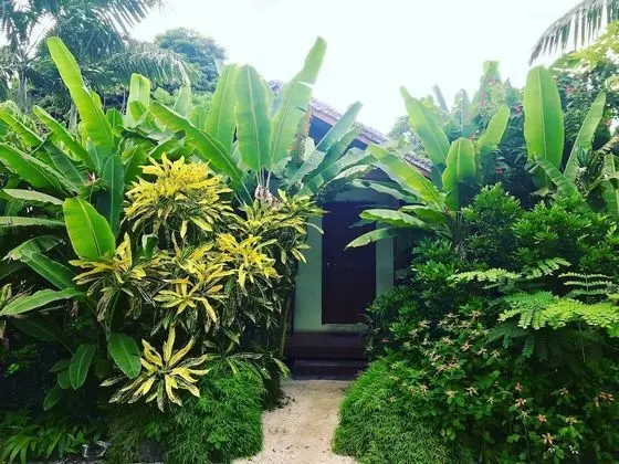 Standard Bungalov (Garden Private Bungalow)