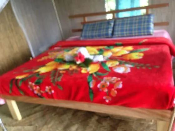 Comfort Ağaç Ev, 1 Çift Kişilik Yatak, Dağ Manzaralı, Avlu