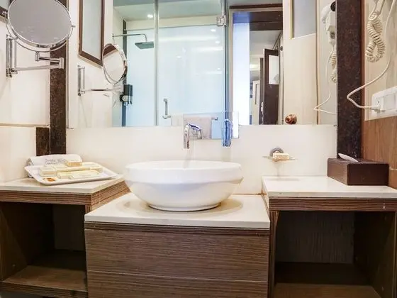 Business Oda, 1 Çift Kişilik Yatak, Özel Banyo, Şehir Manzaralı