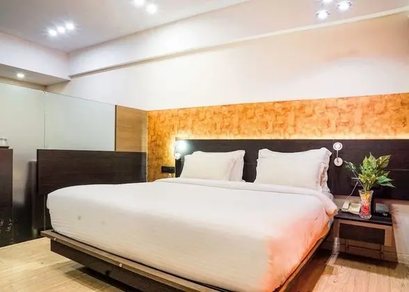 Executive Oda, 1 Çift Kişilik Yatak, Özel Banyo, Şehir Manzaralı