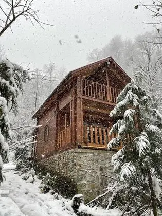 Comfort Bungalov, 1 Yatak Odası