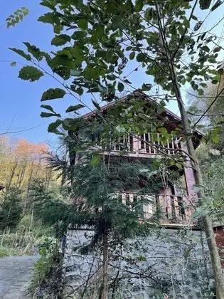 Comfort Bungalov, 1 Yatak Odası