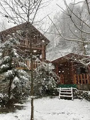 Comfort Bungalov, 1 Yatak Odası