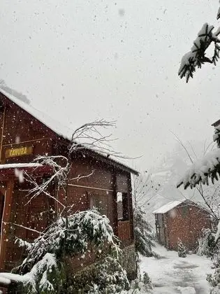 Comfort Bungalov, 1 Yatak Odası