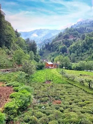 iki yatak odalı dağ evi