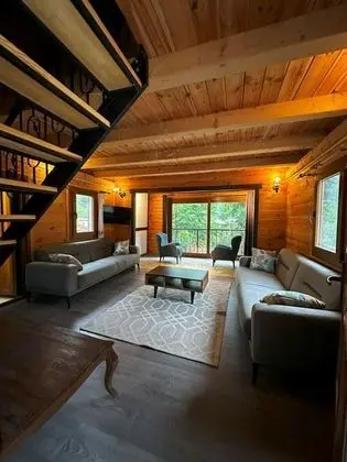 standart dağ evi