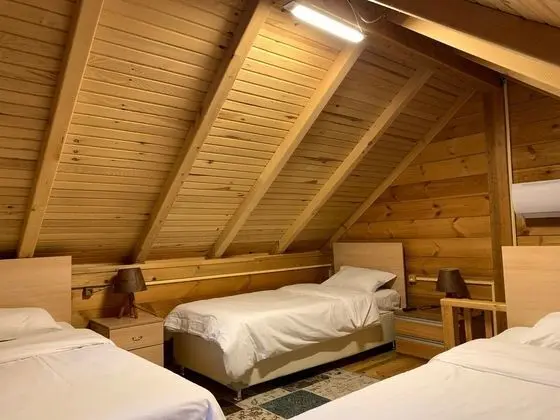 standart dağ evi