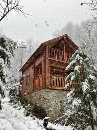 standart dağ evi