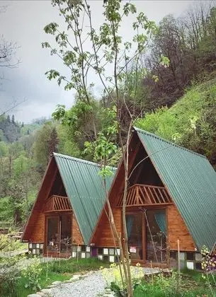 Superior Bungalov, 2 Yatak Odası, Nehir Manzaralı