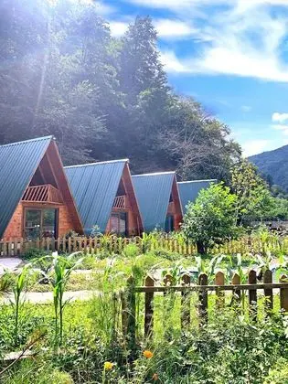 Superior Bungalov, 2 Yatak Odası, Nehir Manzaralı