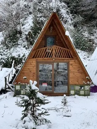 Superior Bungalov, 2 Yatak Odası, Nehir Manzaralı