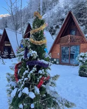 Superior Bungalov, 2 Yatak Odası, Nehir Manzaralı
