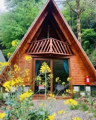 Superior Bungalov, 2 Yatak Odası, Nehir Manzaralı