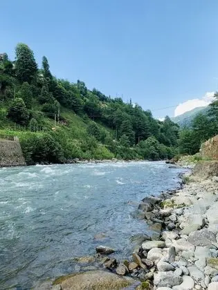 Superior Bungalov, 2 Yatak Odası, Nehir Manzaralı