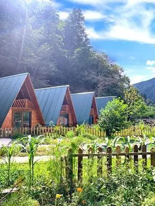 superior bungalov