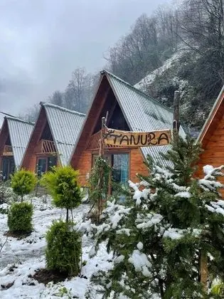 superior bungalov
